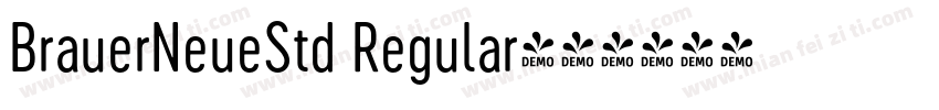 BrauerNeueStd Regular字体转换